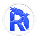 RAVN image